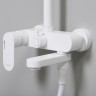 Душевая система 225 мм WASSERKRAFT MINDEL A18501