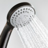 Лейка душевая WASSERKRAFT A051 3-функциональная