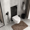 Система инсталляции для унитазов WASSERKRAFT ABENS 20TLT.010.ME.BL.MB02