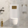 Система инсталляции для унитазов WASSERKRAFT ABENS 20TLT.010.ME.WH.PG04