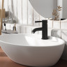Смеситель для раковины WASSERKRAFT GOLLACH 3305