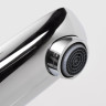Смеситель для раковины WASSERKRAFT LIPPE 4503